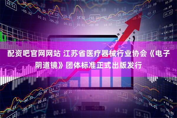 配资吧官网网站 江苏省医疗器械行业协会《电子阴道镜》团体标准正式出版发行