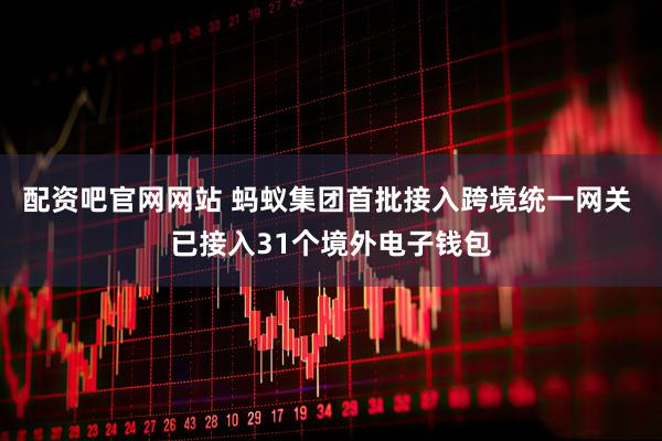 配资吧官网网站 蚂蚁集团首批接入跨境统一网关 已接入31个境外电子钱包