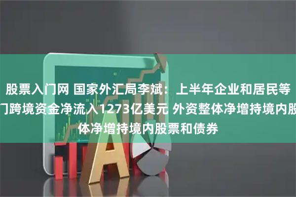 股票入门网 国家外汇局李斌：上半年企业和居民等非银行部门跨境资金净流入1273亿美元 外资整体净增持境内股票和债券