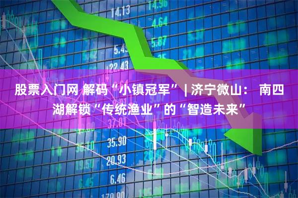 股票入门网 解码“小镇冠军” | 济宁微山： 南四湖解锁“传统渔业”的“智造未来”