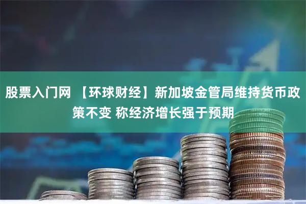 股票入门网 【环球财经】新加坡金管局维持货币政策不变 称经济增长强于预期