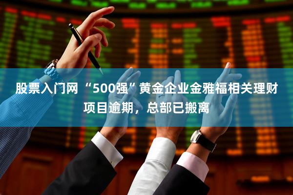 股票入门网 “500强”黄金企业金雅福相关理财项目逾期，总部已搬离